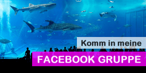 Zur Facebook Gruppe